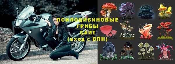 дживик Беломорск